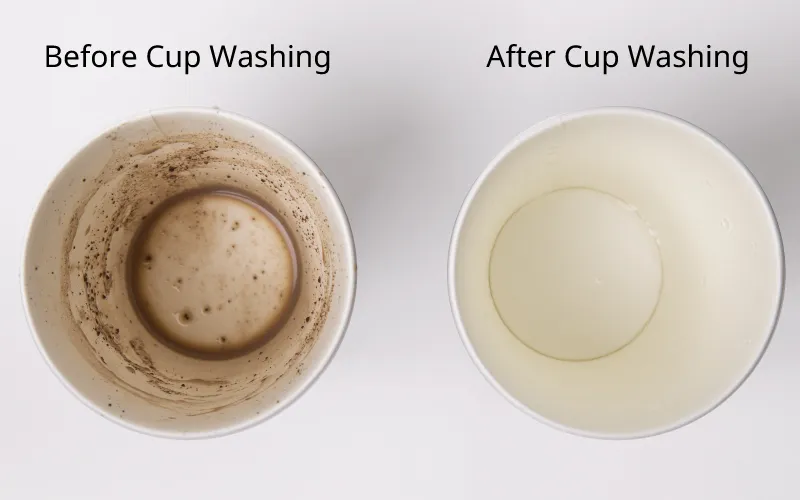 Before and after cup washing